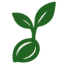 seed icon
