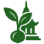 asia seed icon