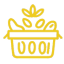 best seeds in asia