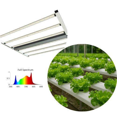 Grow Equipment