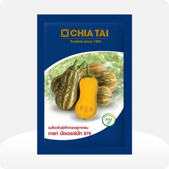 Chia Tai Butternut Pumpkin 879