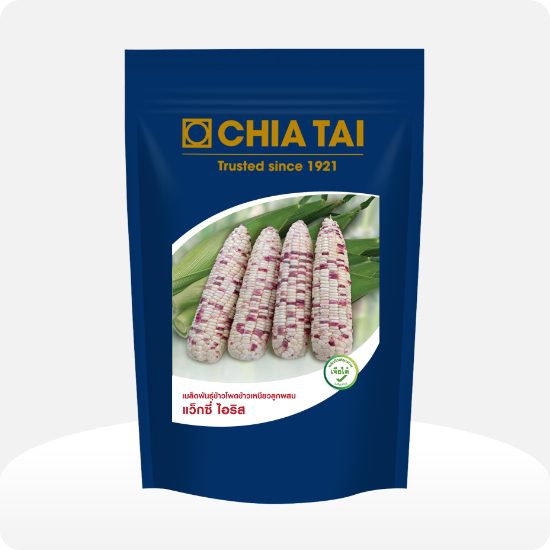 Chia Tai Hybrid Sweet Waxy Corn Seeds - 1000g