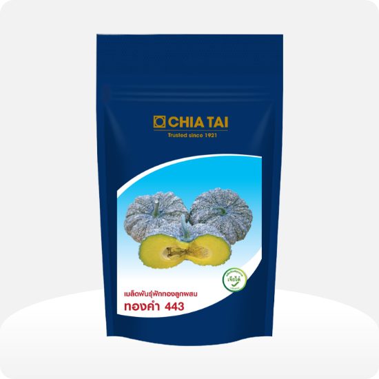 Chia Tai Golden Pumpkin 443