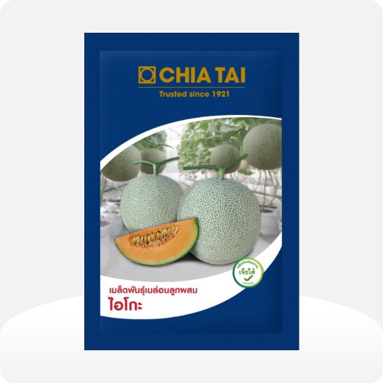 Chia Tai Melon Aiko