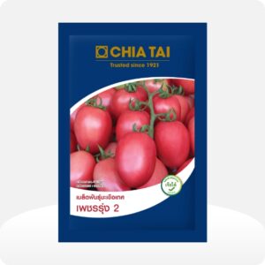 Chia Tai Tomato Sita Petchrung 2