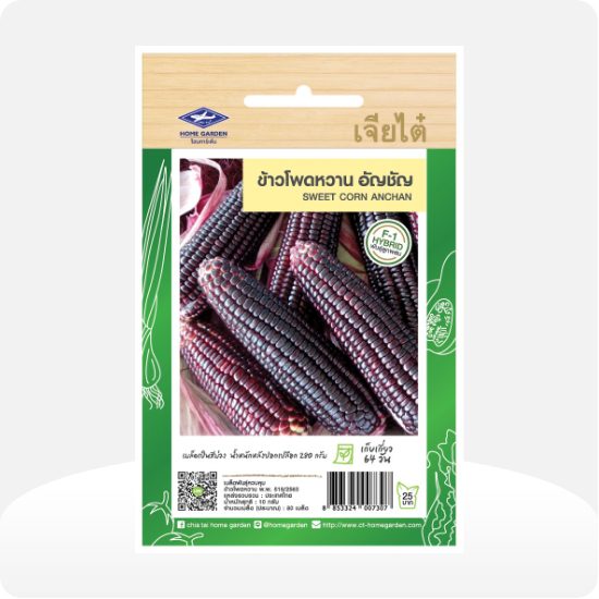 Chia Tai Purple Sweetcorn Anchan