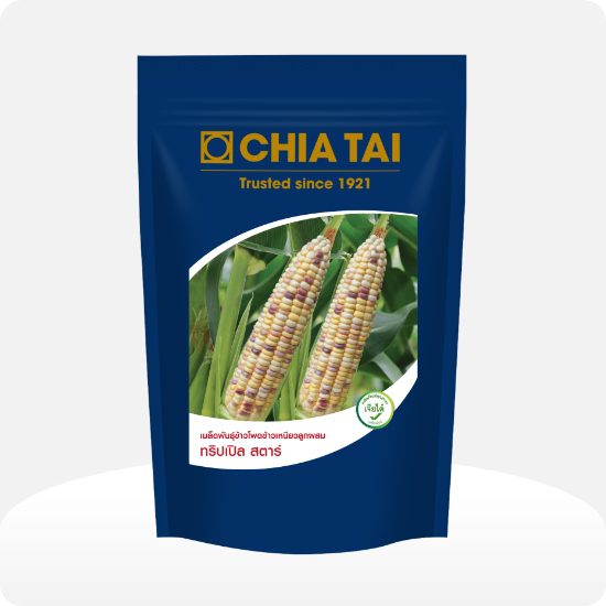 Chia tai Waxy corn triple star