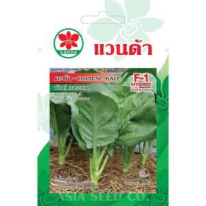 Vanda Seeds - Chinese Kale F1 Hybrid - Karaked
