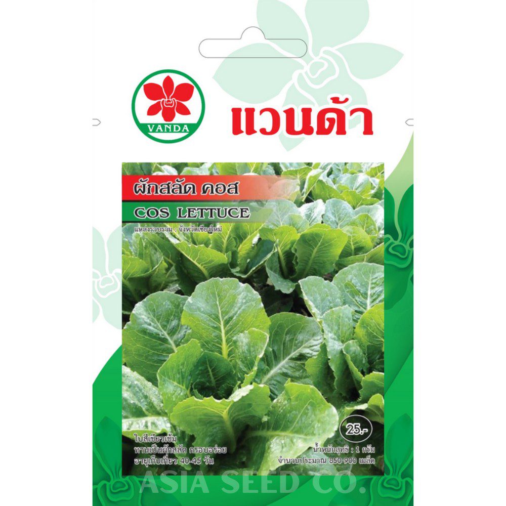 Vanda Seeds - Cos Lettuce