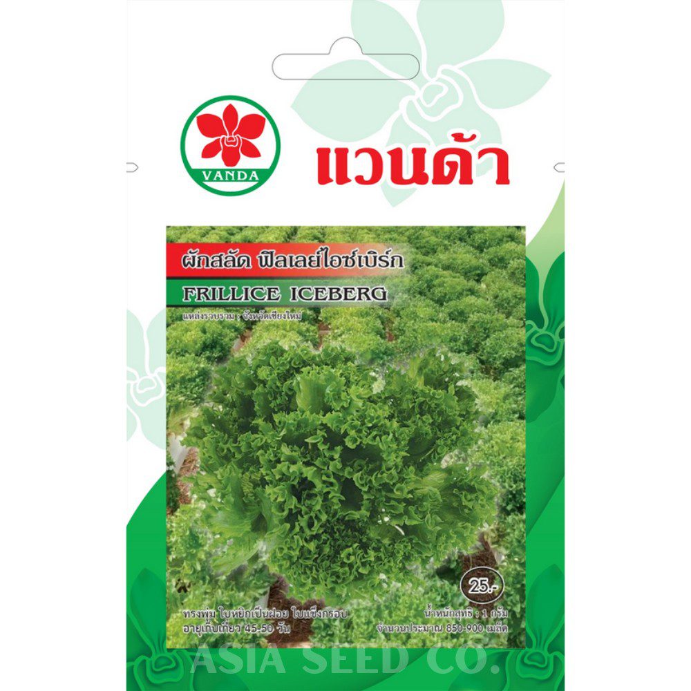 Vanda Seeds - Frillice Iceberg Lettuce
