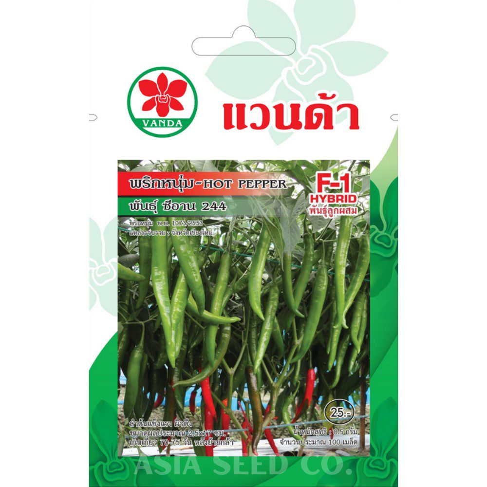 Vanda Seeds - Hot Pepper F1 Hybrid - Xian 244