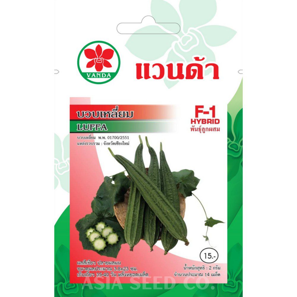 Vanda Seeds - Angled Luffa F1 Hybrid