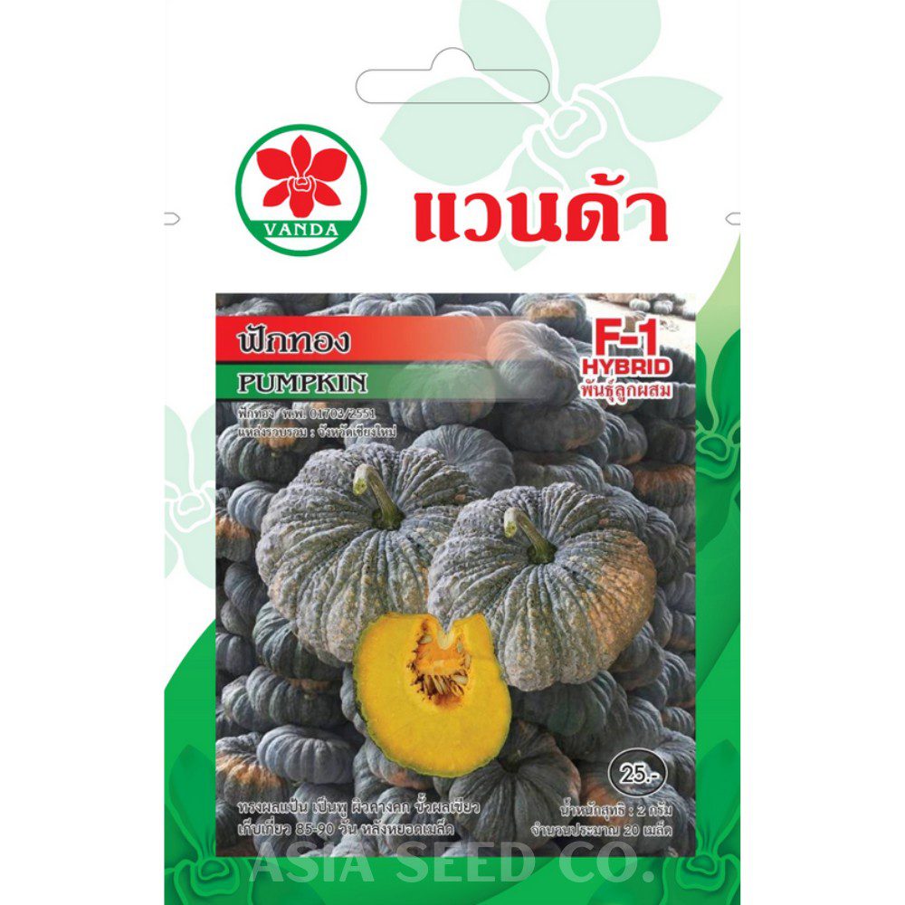 Vanda Seeds - Pumpkin F1 Hybrid