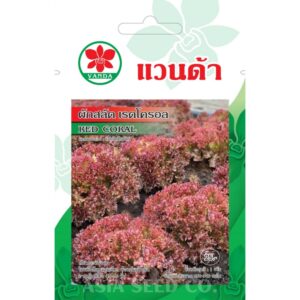 Vanda Seeds - Red Coral Lettuce