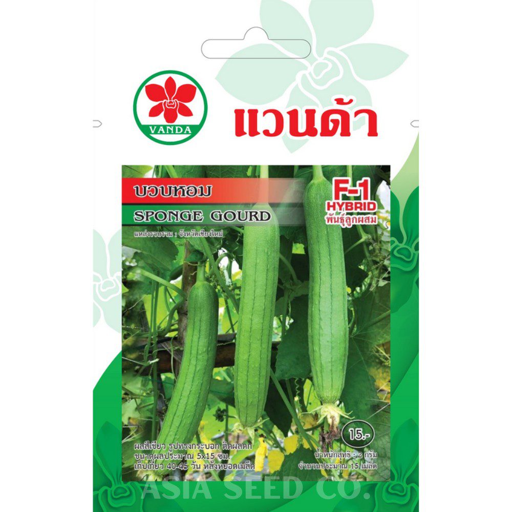 Vanda Seeds Sponge Gourd F1 Hybrid - Buap Hom